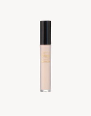 fmg Cashmere Soft Focus Full Coverage Concealer