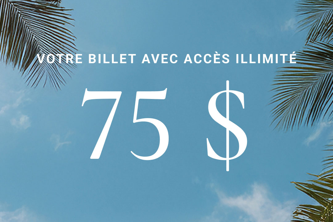 Your All-Access Ticket