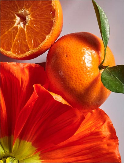 Fresh Citrus
