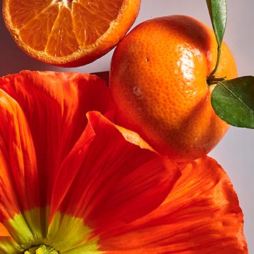 Fresh Citrus