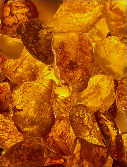 Soft Amber