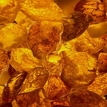 Soft Amber