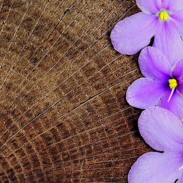 Woody Floral
